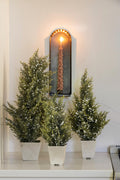 Potted Pine Berry Trees, Set of 3