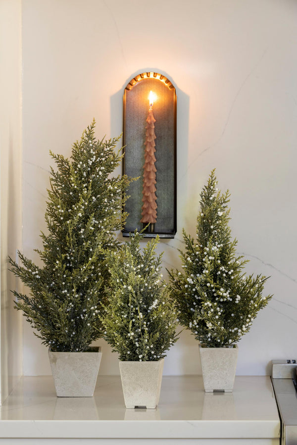 Potted Pine Berry Trees, Set of 3