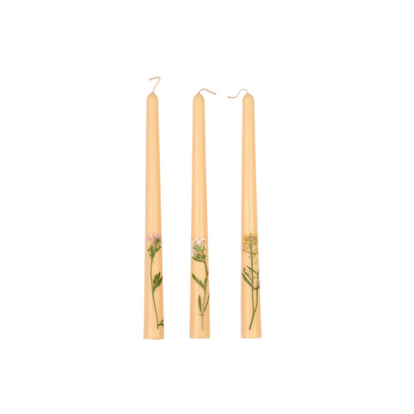 Dried Floral Taper Candles - Set of 3