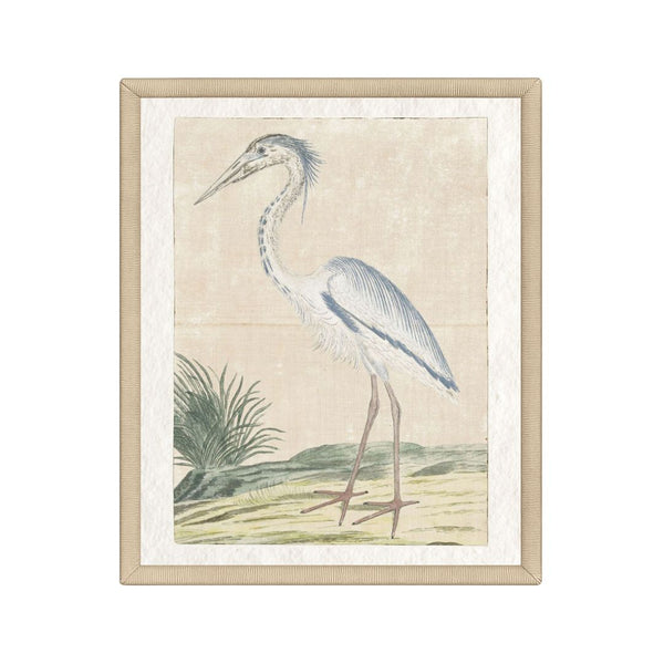 Coastal Avian Art No. 4