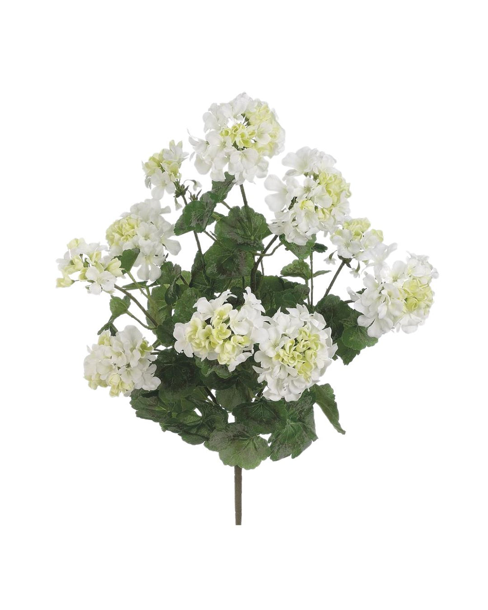 White Geranium Spray