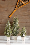 Potted Pine Berry Trees, Set of 3