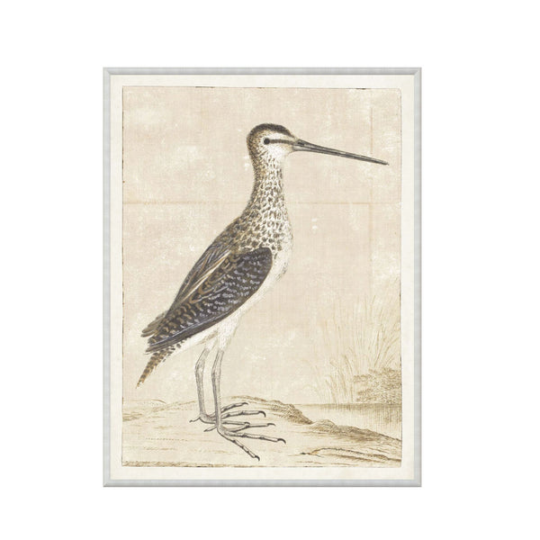 Coastal Avian Art No. 1- White