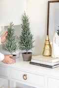 Potted Tree Set