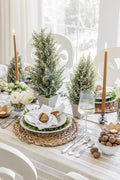 Potted Pine Berry Trees, Set of 3