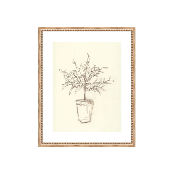 Olive Topiary Art
