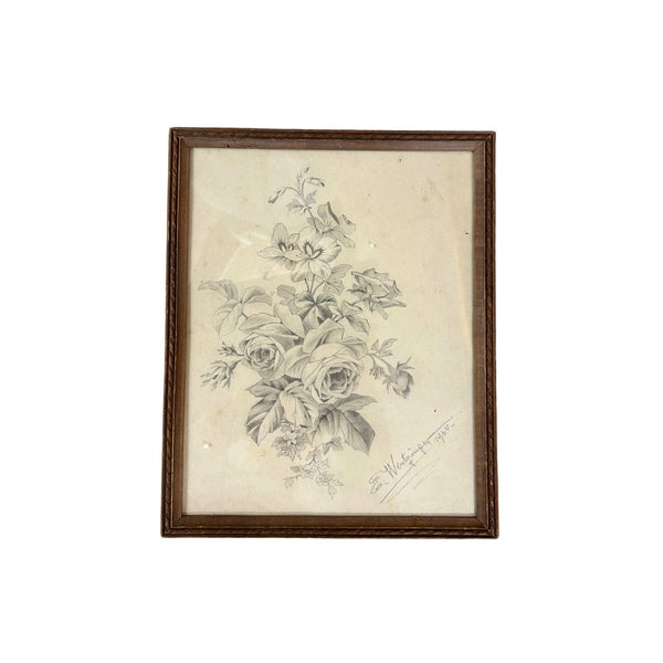 Framed French Rose Sketch
