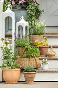 Reeded Terracotta Pot - Large