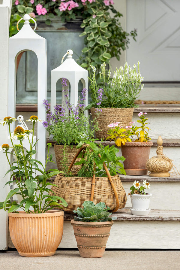 Terracotta Roped Edge Pot - Small