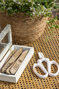 Boxed Herb Stakes