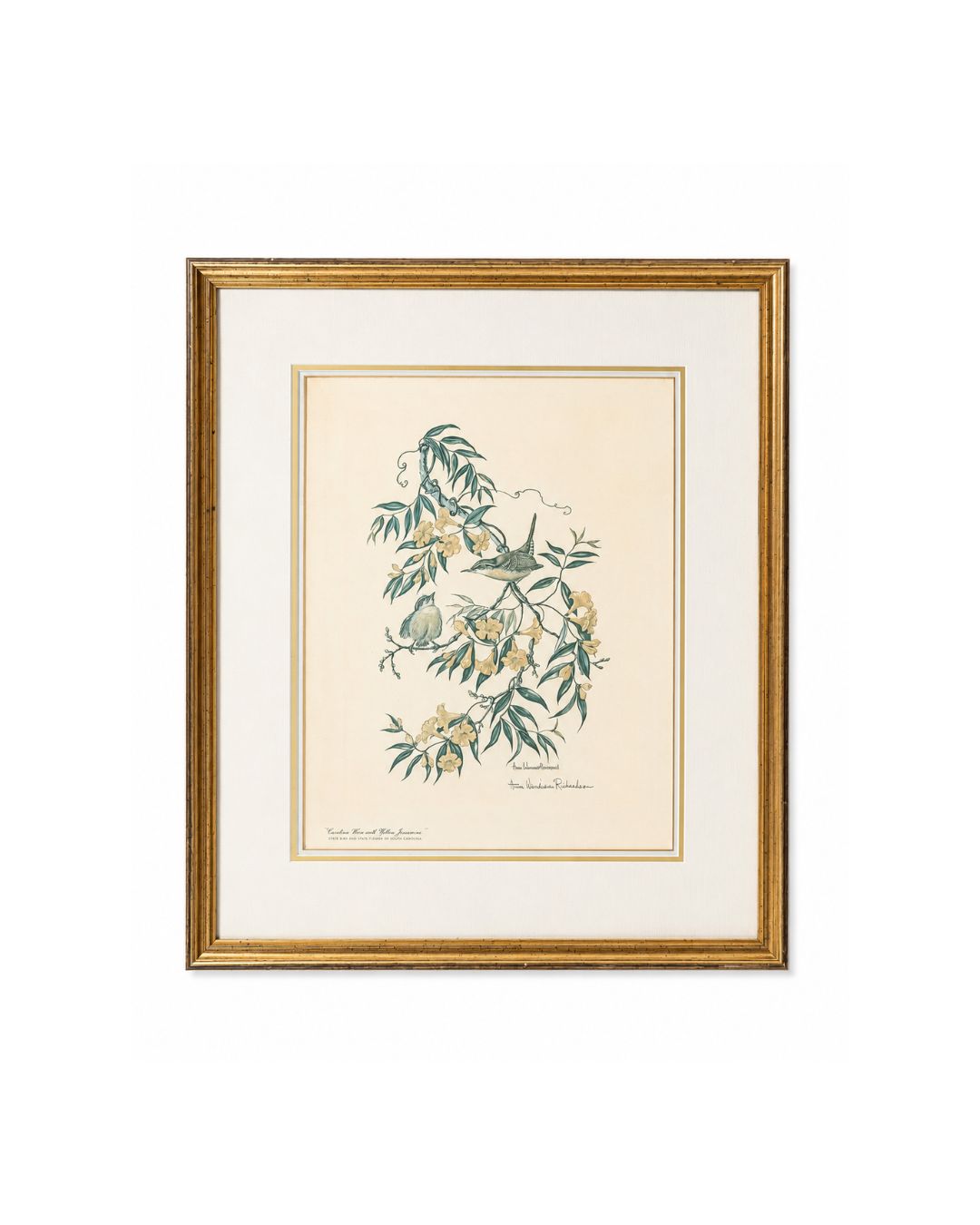 Vintage Carolina Wren & Yellow Jessamine