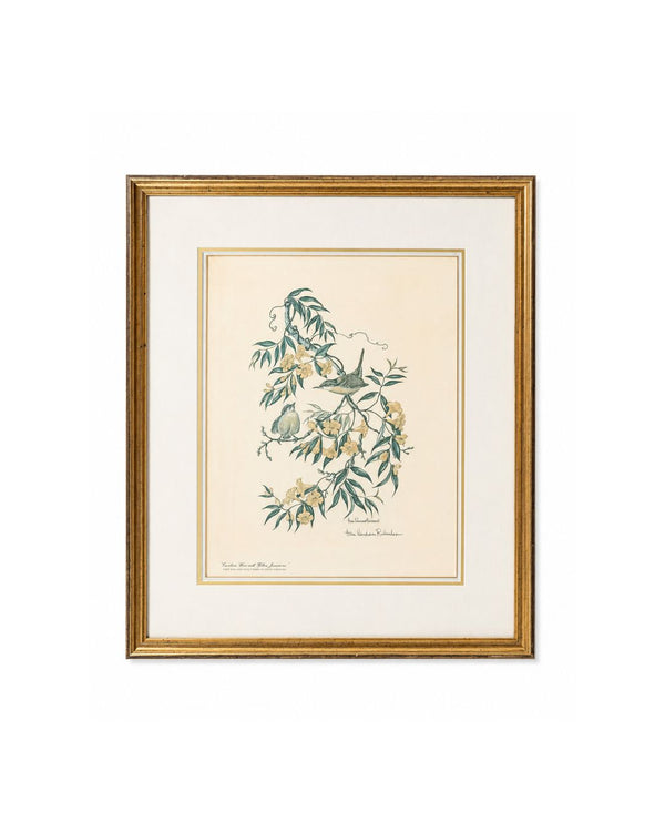 Vintage Carolina Wren & Yellow Jessamine