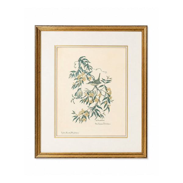 Vintage Carolina Wren & Yellow Jessamine