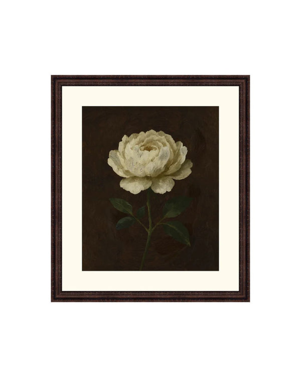 Ivory Solitude Botanical III