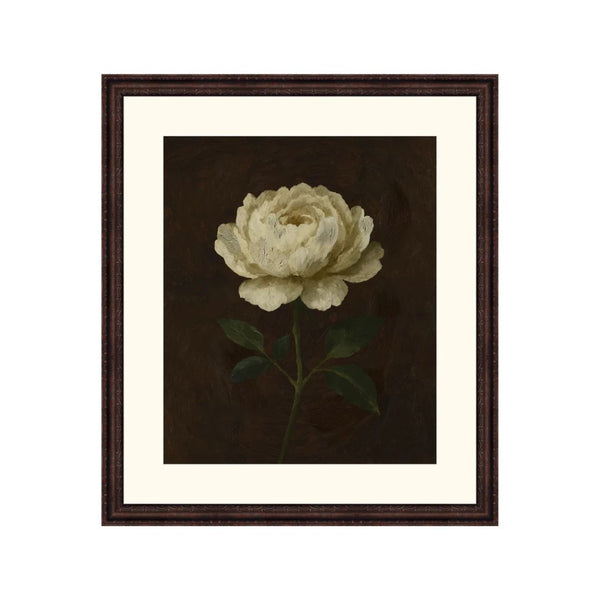 Ivory Solitude Botanical III
