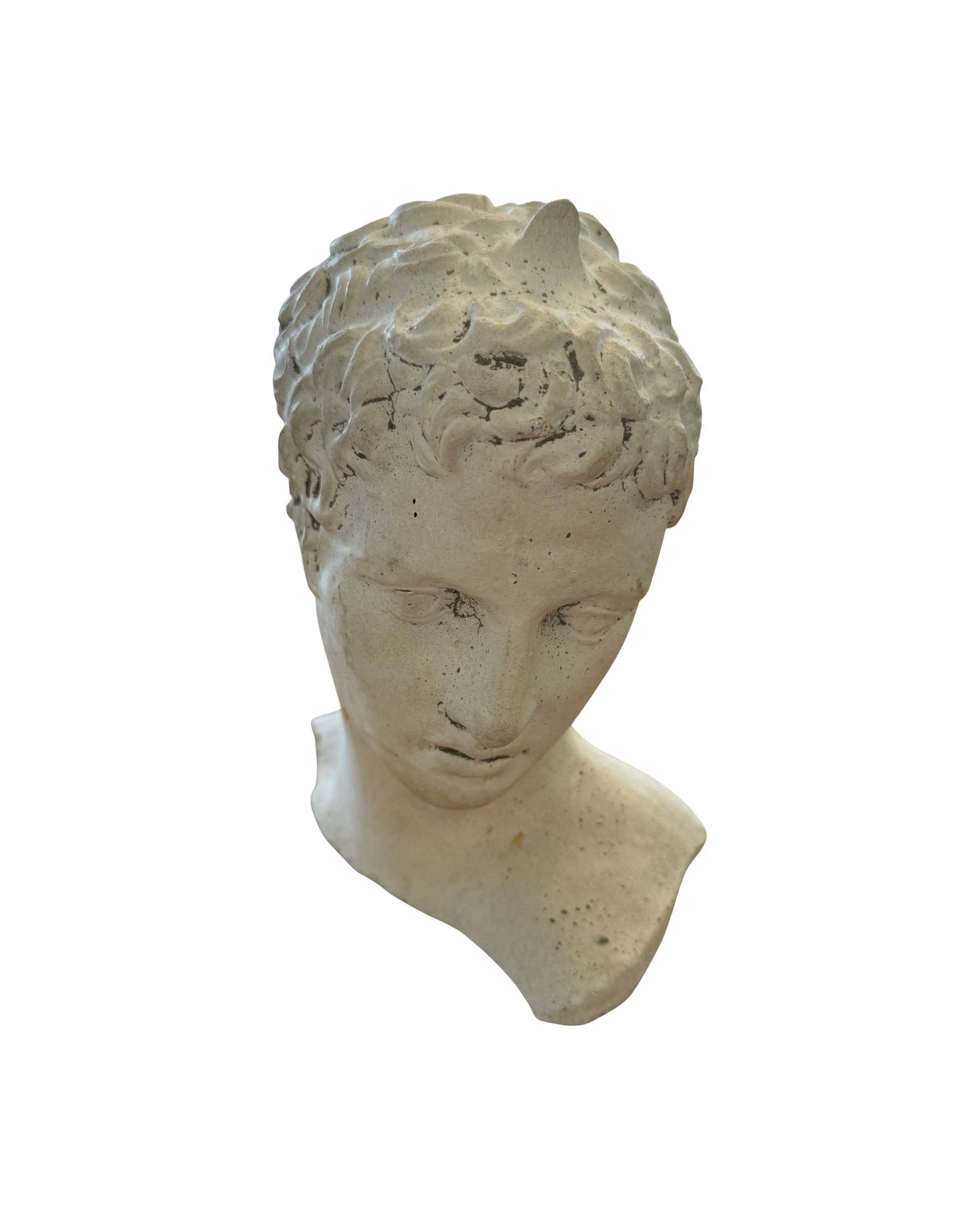 Vintage Bust