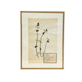 Pressed Botanical with Hook IV