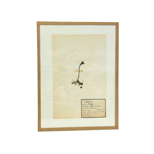 Pressed Botanical with Hook V
