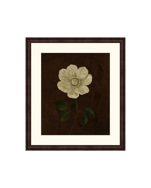 Ivory Solitude Botanical I