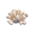 Natural Coral Figurine