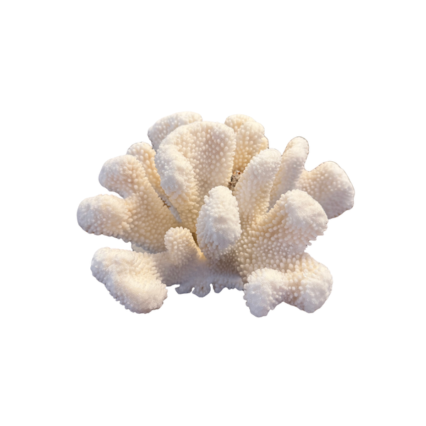 Natural Coral Figurine