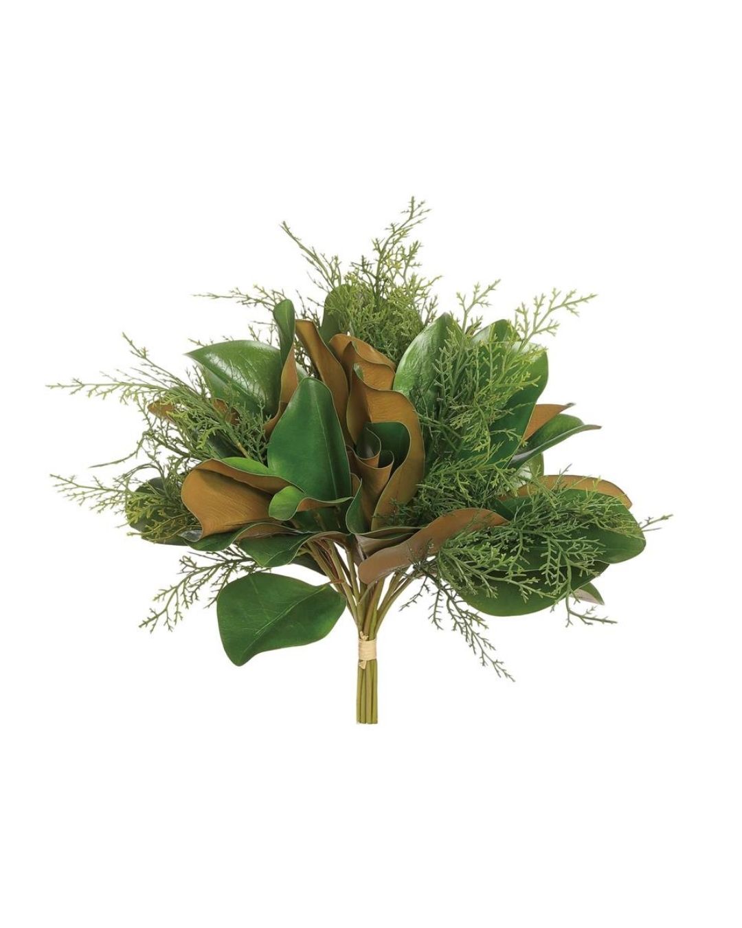 Magnolia & Cedar Bundle