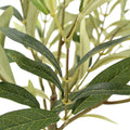 Potted Rosemary & Olive Topiary Set
