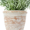 Potted Rosemary & Olive Topiary Set