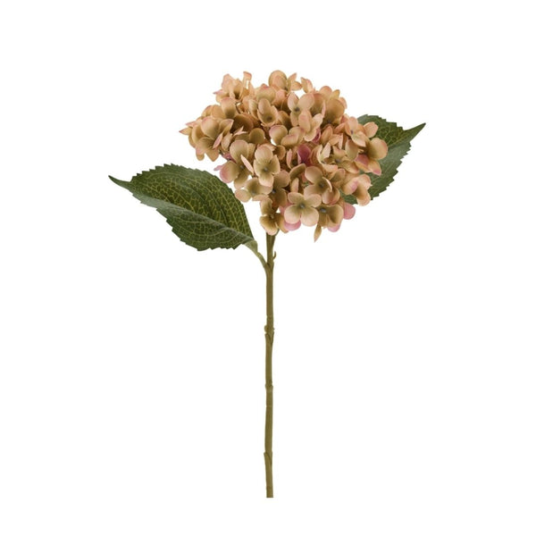 Antique Blush Hydrangea Stem