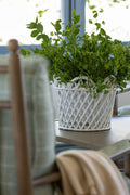 White Rattan Lattice Planter