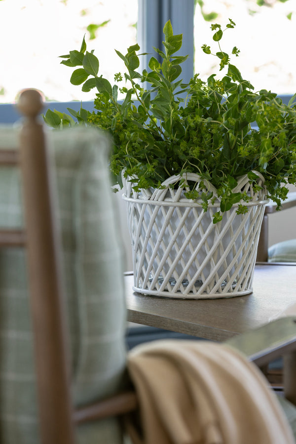 White Rattan Lattice Planter