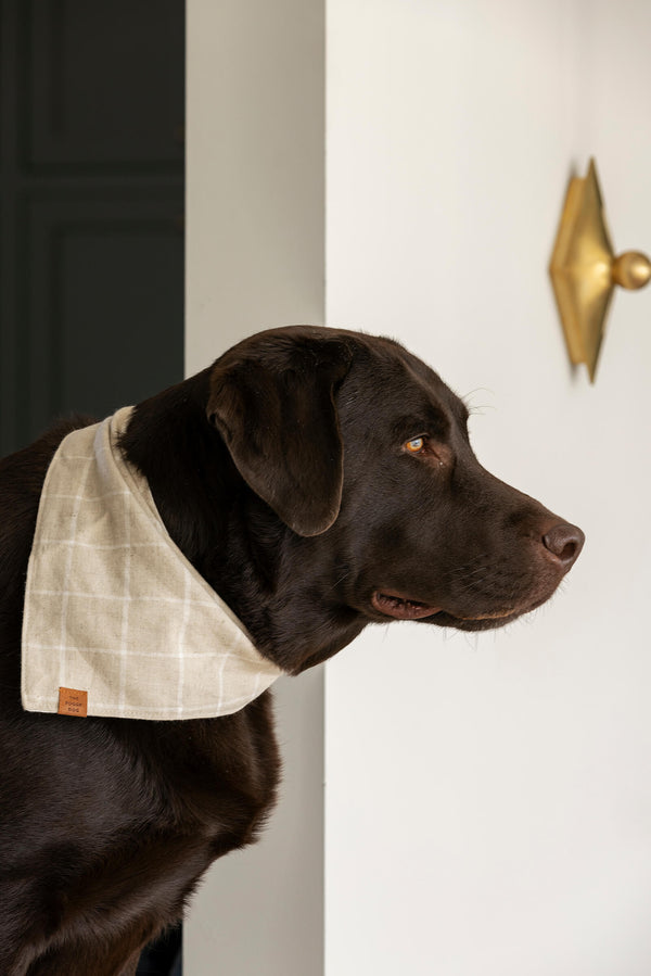 Window Pane Dog Bandana in Flax