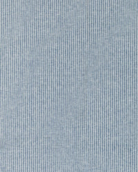 Blue Pinstripe Fabric
