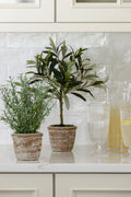 Jane Acrylic Stem Tumbler - Set of 4