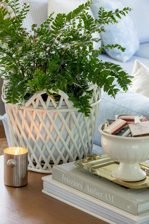 Côte Shell Candle