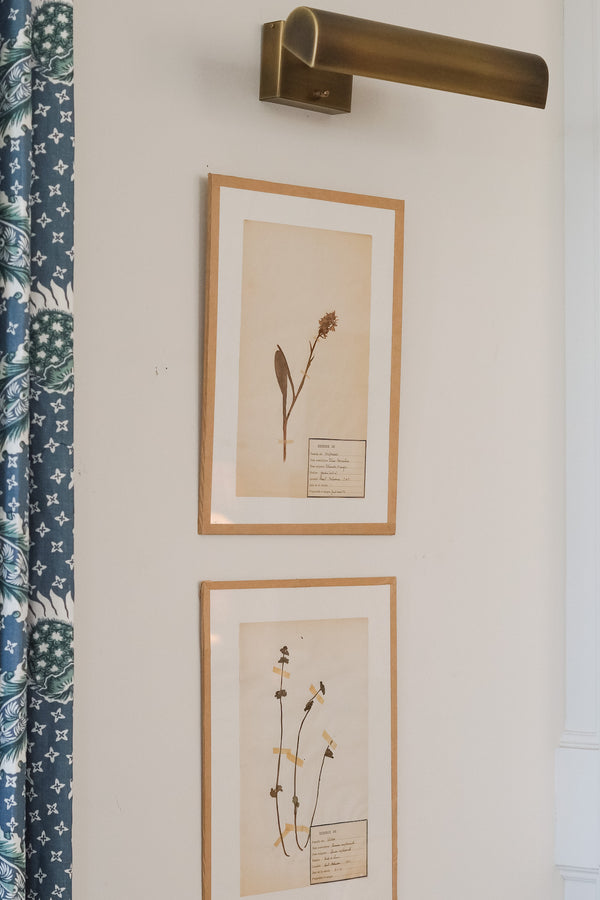 Pressed Botanical with Hook VI