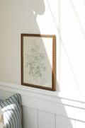 Framed French Rose Sketch