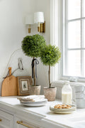 Thyme Ball Topiary- Medium