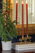 Potted Pine Tree