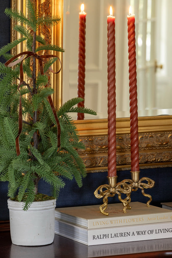 Potted Pine Tree