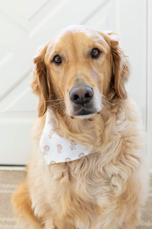 Lyla Soft Coral Dog Bandana