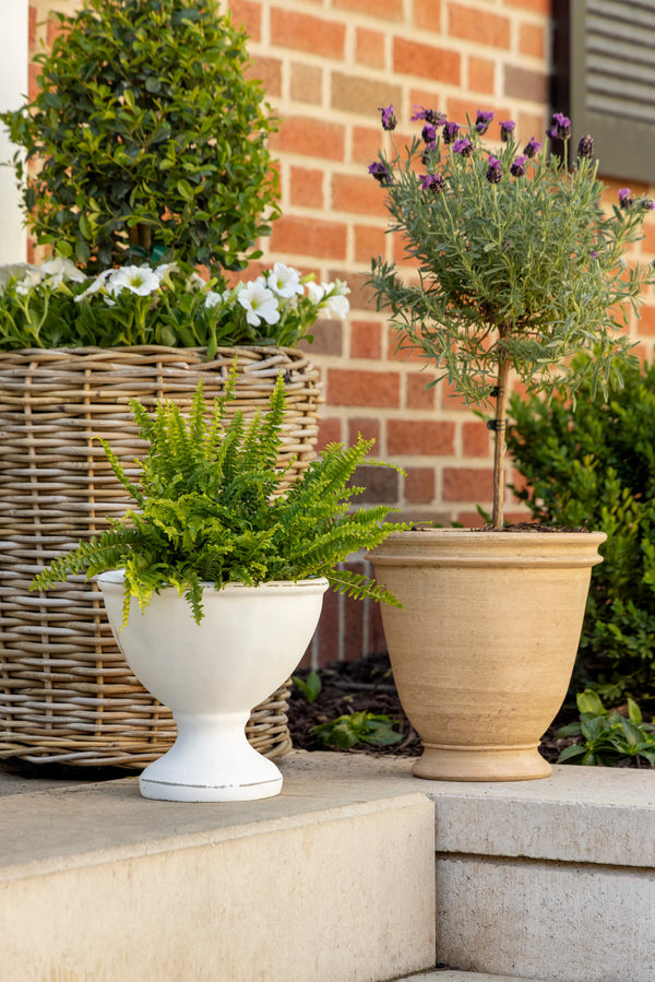 Wakefield Handmade Dryden Pot #10