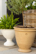 Wakefield Handmade Dryden Pot #10