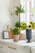 Terracotta Ribbed Pot - Medium