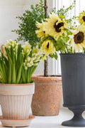 Terracotta Ribbed Pot - Medium