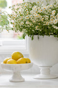 Classic Fluted Urn