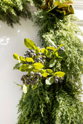 Winterberry Stem