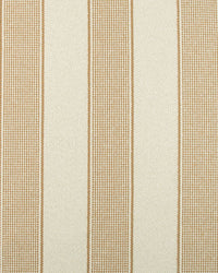 Camel Woven Cabana Stripe Fabric