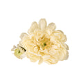 Cream Zinnia Stem