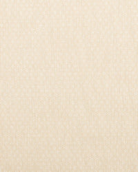 Cream Primrose Dot Fabric